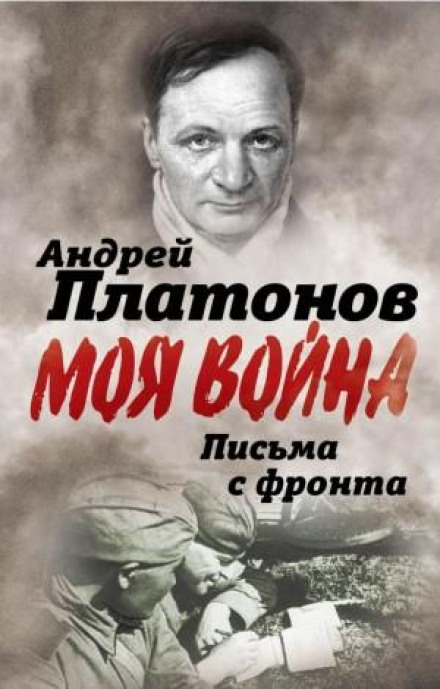 Letters from the Front: 'I Saw the Terrible Face of War'. A Collection