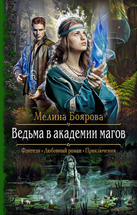 The Witch at the Academy of Mages