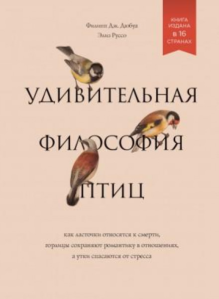 Дивовижна філософія птахів. Як ластівки ставляться до смерті, горлиці зберігають романтику у стосунках, а качки рятуються від стресу