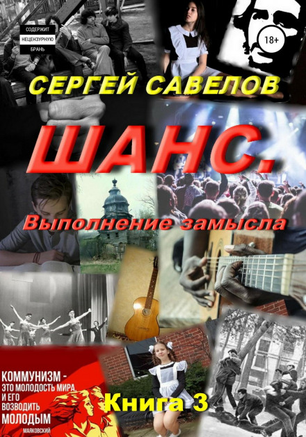 Chance: Fulfilling the Plan. Sergei Savelov. Book 3