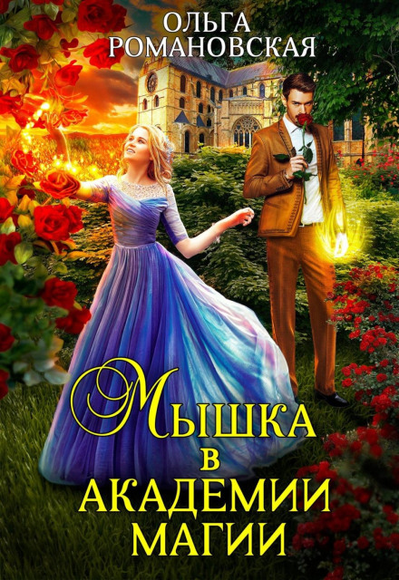 Мишка в академії магії