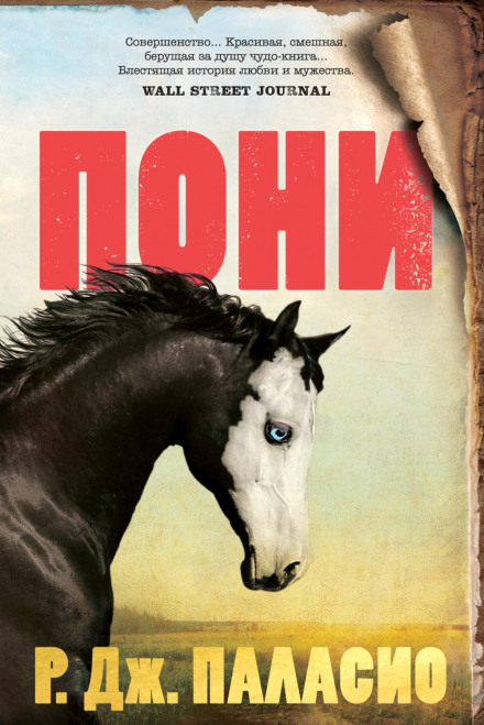 Pony