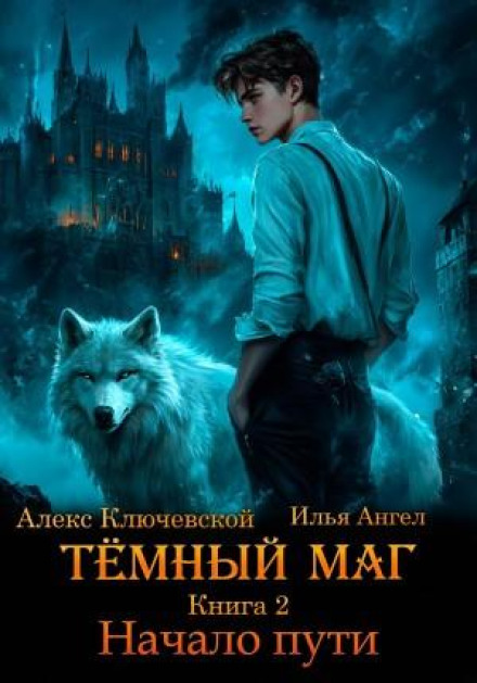 The Dark Mage. Book 2. The Beginning of the Path