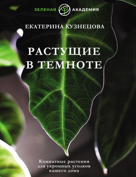 Рослини, що ростуть у темряві. Кімнатні рослини для затишних куточків вашого дому