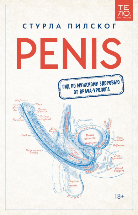 Penis: A Guide to Men's Health from a Urologist