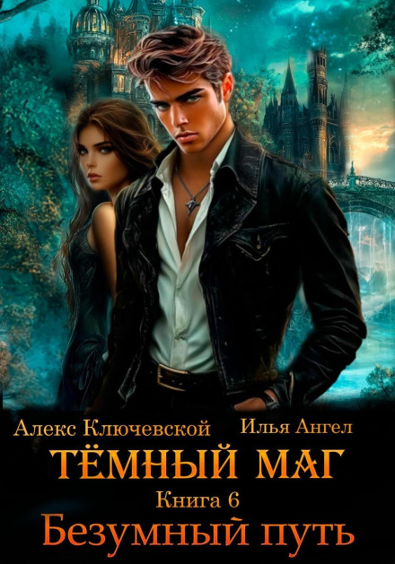 The Dark Mage. Book 6. The Insane Path