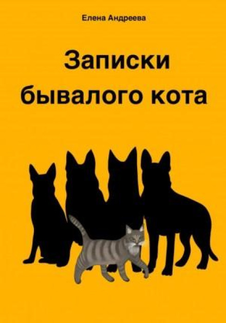 Notes of an Experienced Cat