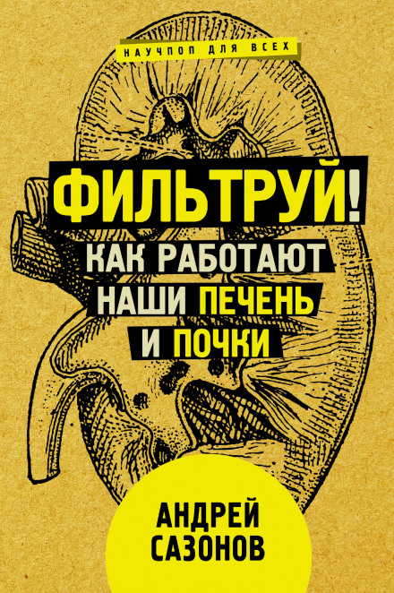 Filter It! How Our Liver and Kidneys Work