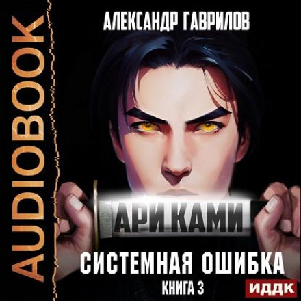 Арі Камі. Книга 3. Системна помилка
