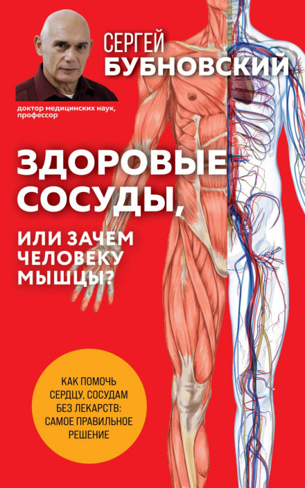 Healthy Blood Vessels, or Why Do People Need Muscles?