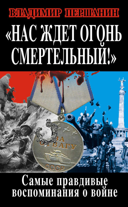 Deadly Fire Awaits Us! The Most Truthful Memoirs of the War