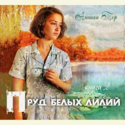 A Faraway Island (Books 1–4)