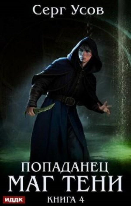 The Newcomer. Shadow Mage. Book 4