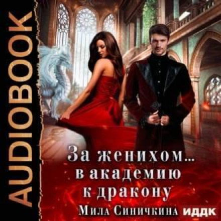 За нареченим… В академію до дракона