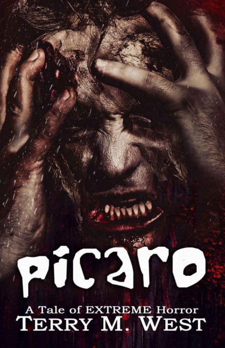Picaro
