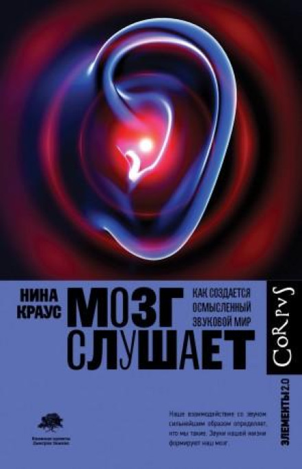 Мозок слухає. Як створюється осмислений звуковий світ