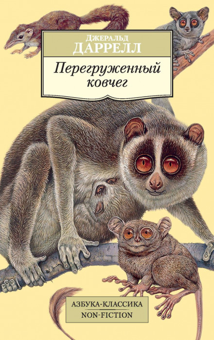 Перевантажений ковчег