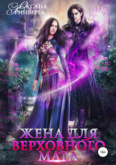 Дружина для Верховного мага