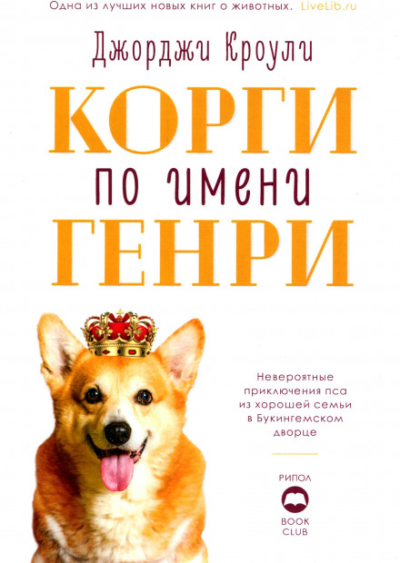Коргі на ім'я Генрі