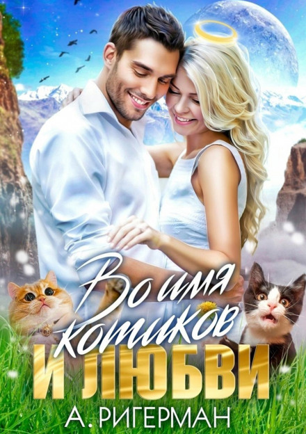 In the Name of Kitties and Love