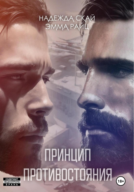 Принцип протистояння