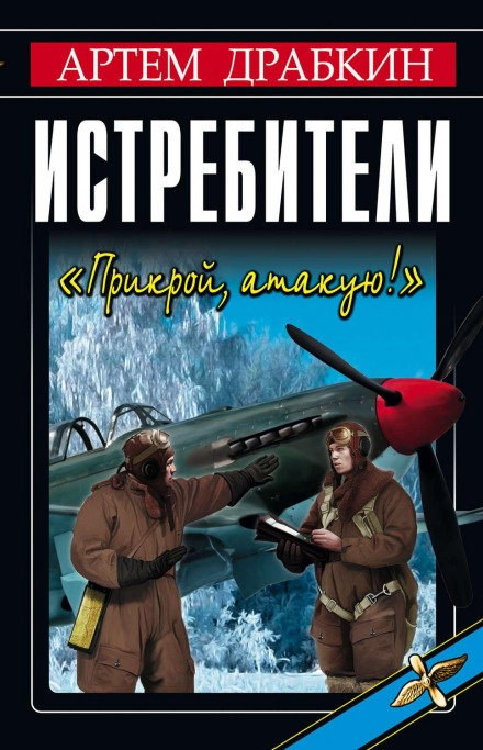 Fighter Pilots: Cover Me, I'm Attacking!