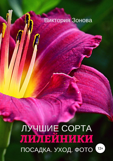 Лілійники. Найкращі сорти