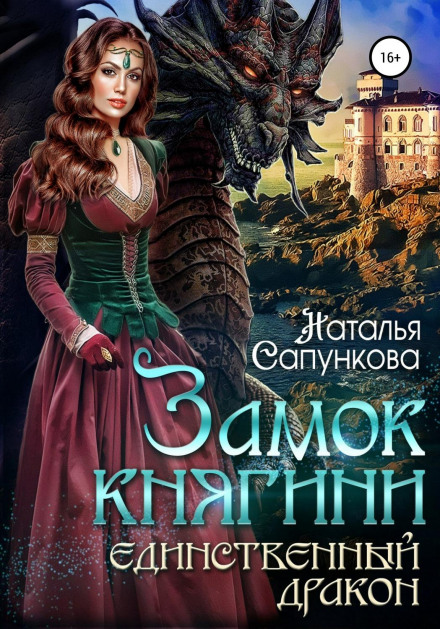 The Princess's Castle